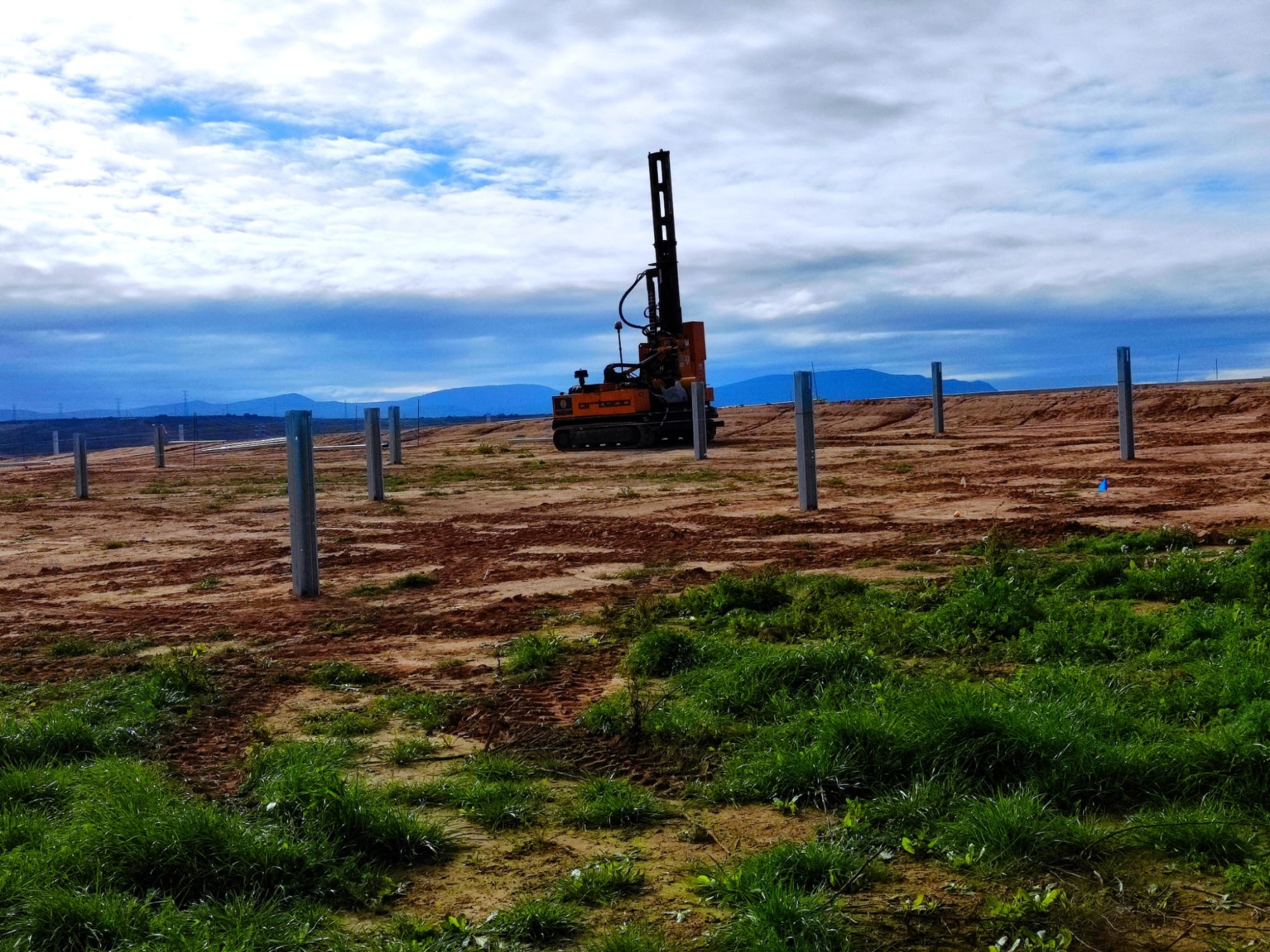 Orteco 1000 HD entre margaritas